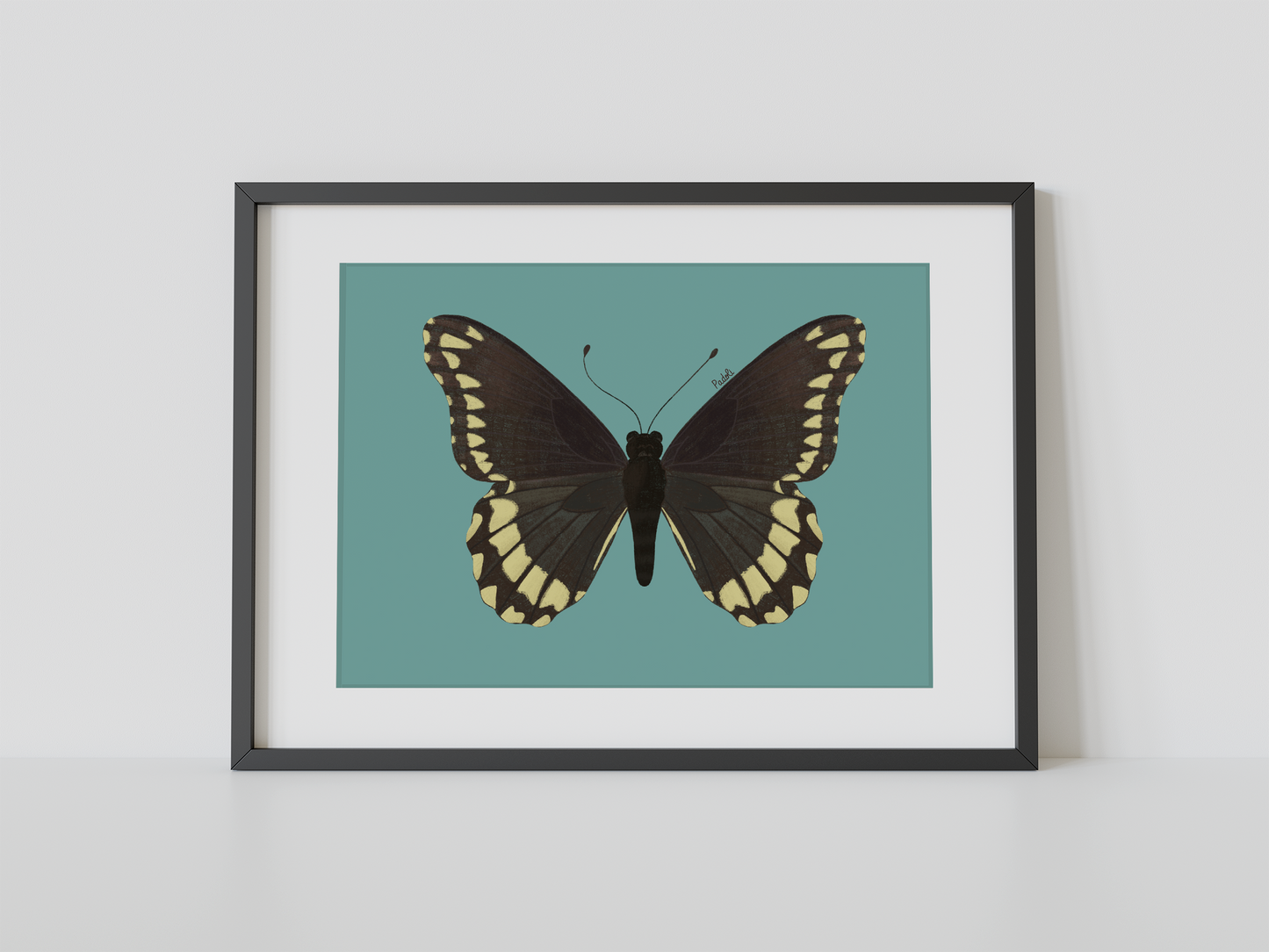 Print Mariposa Batus