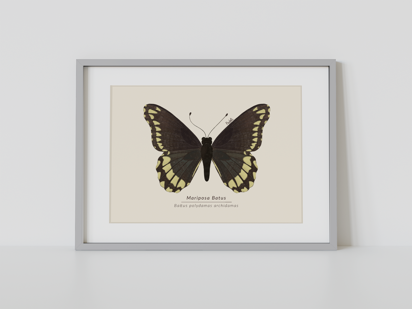 Print Mariposa Batus