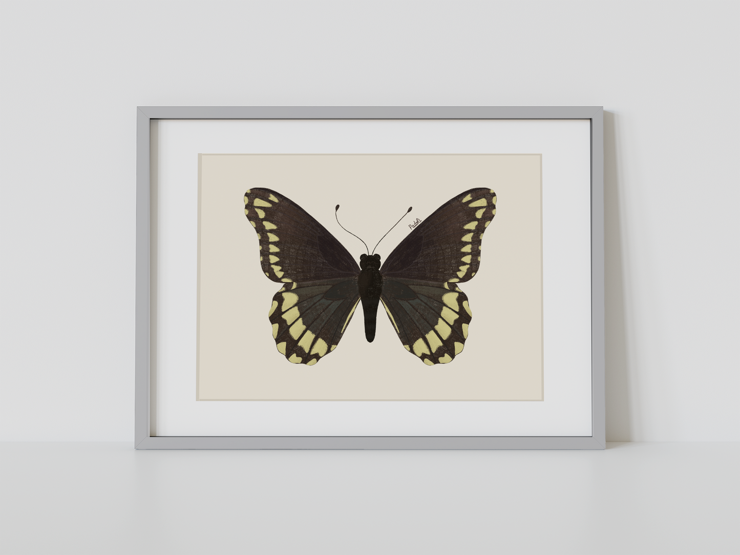 Print Mariposa Batus