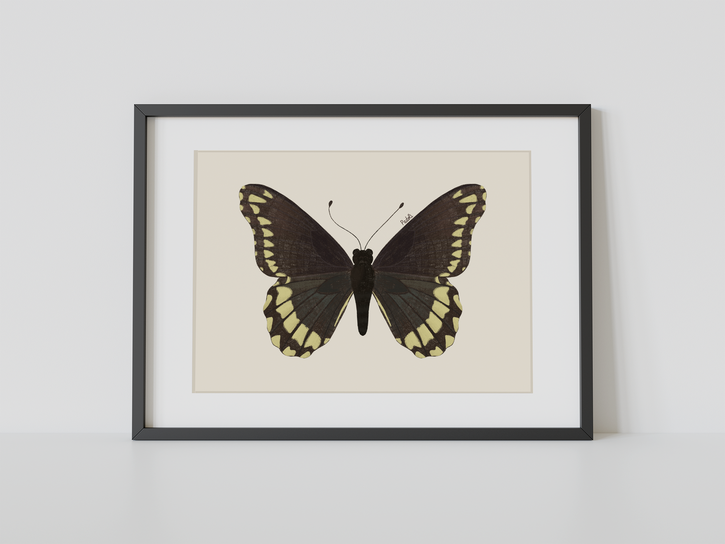 Print Mariposa Batus