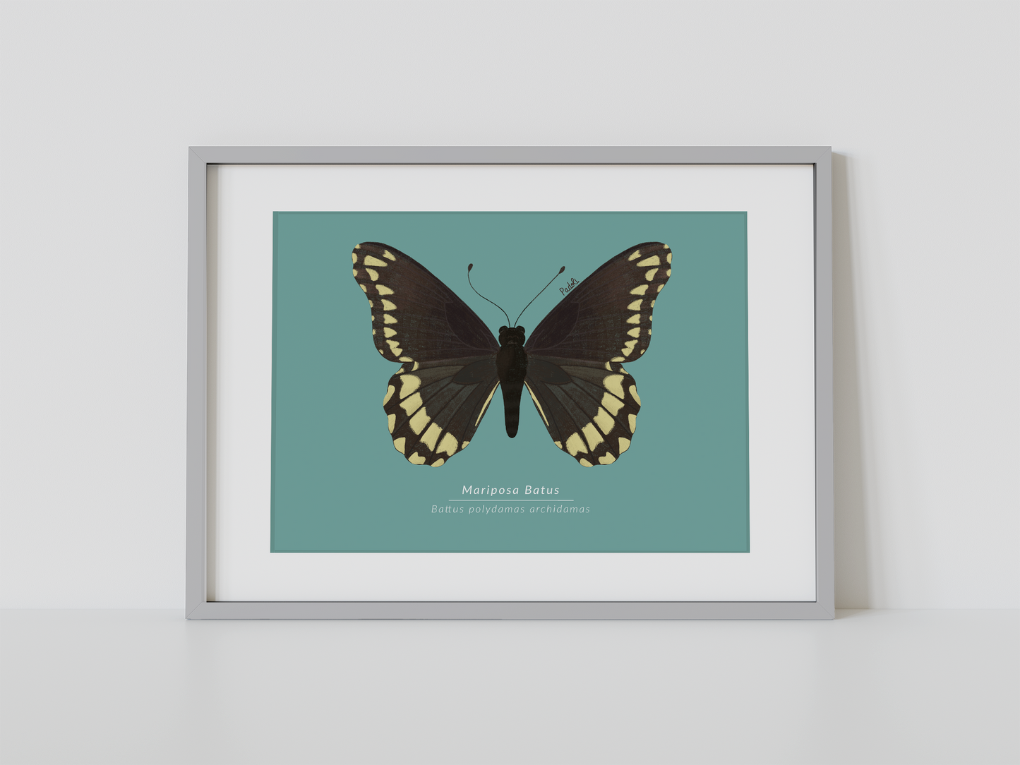 Print Mariposa Batus