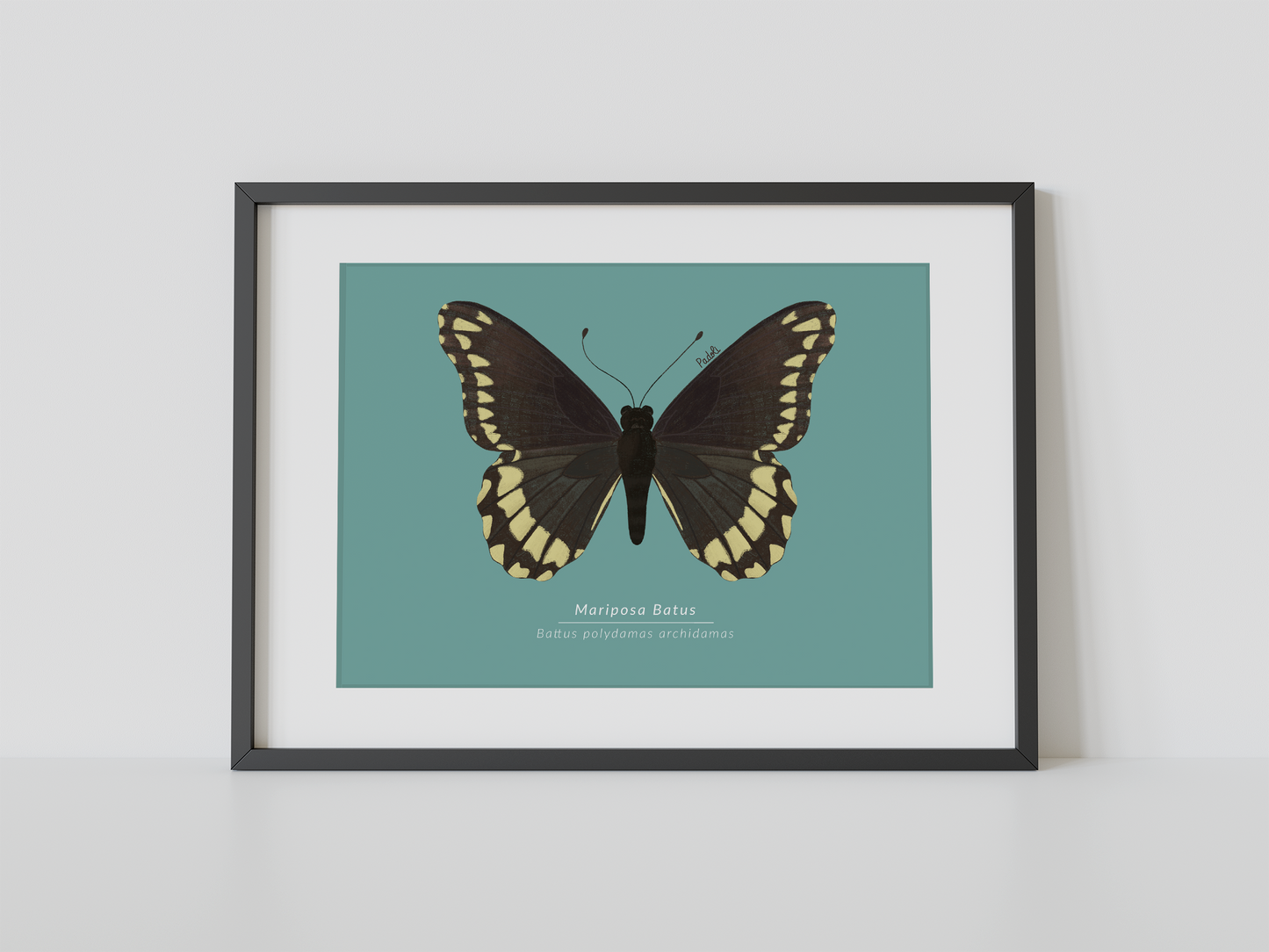Print Mariposa Batus