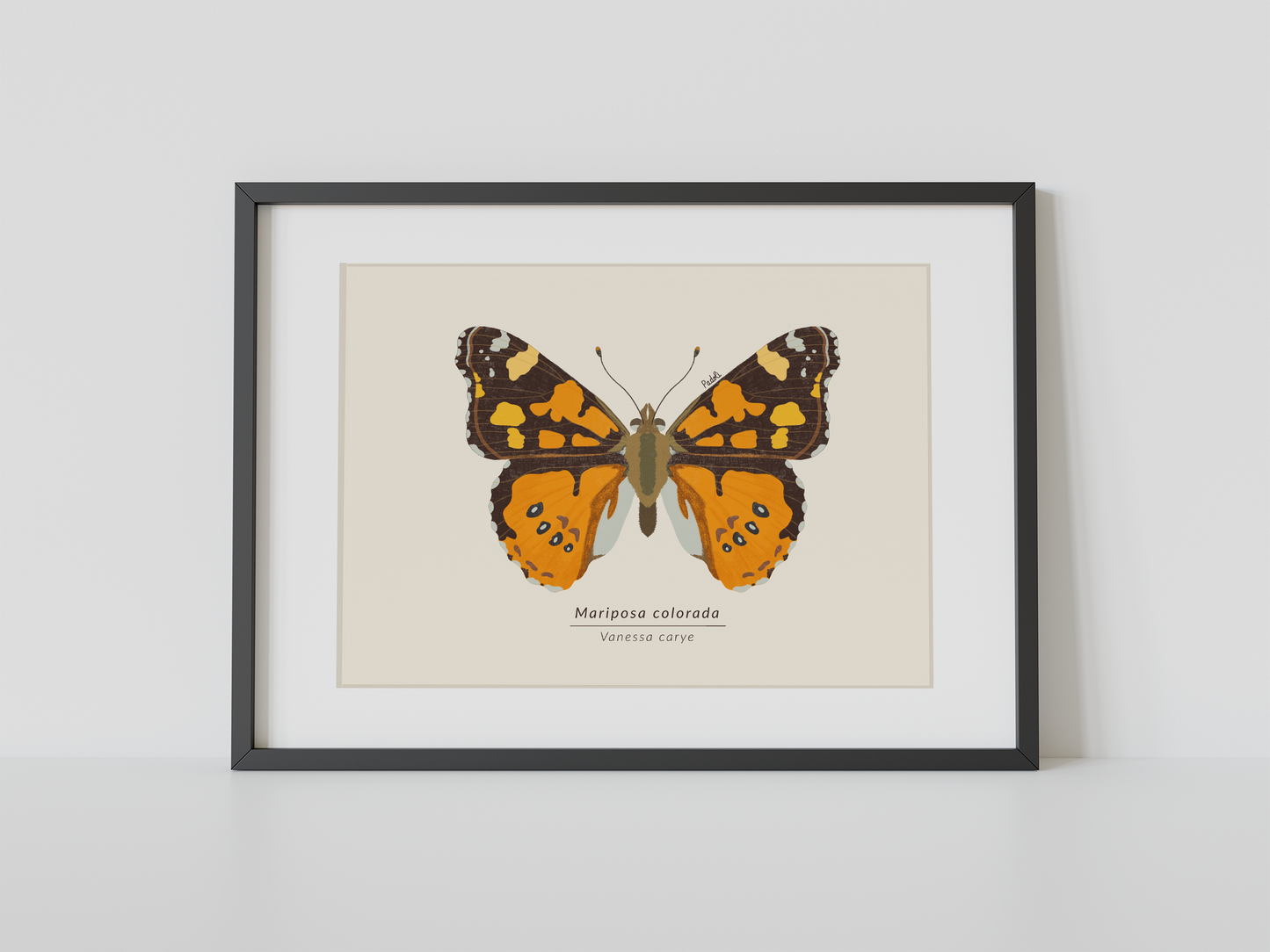 Print Mariposa Colorida
