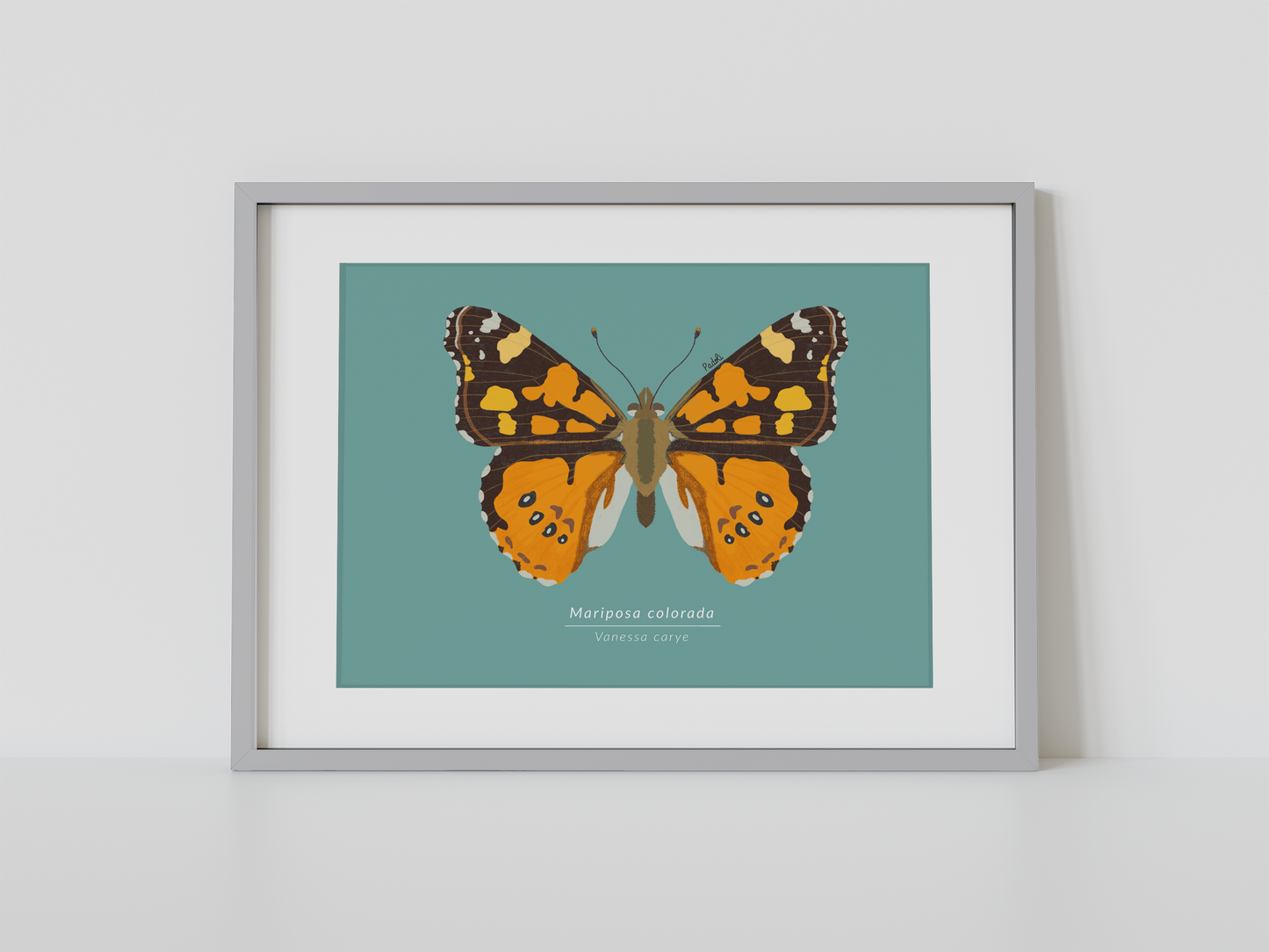 Print Mariposa Colorida