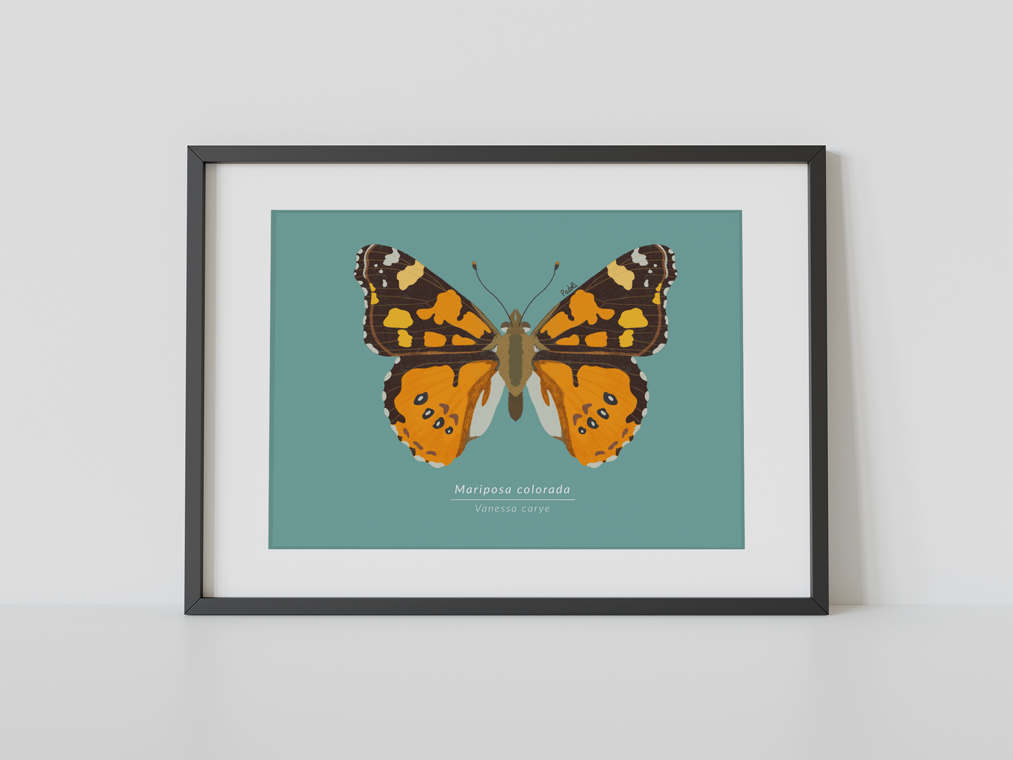 Print Mariposa Colorida