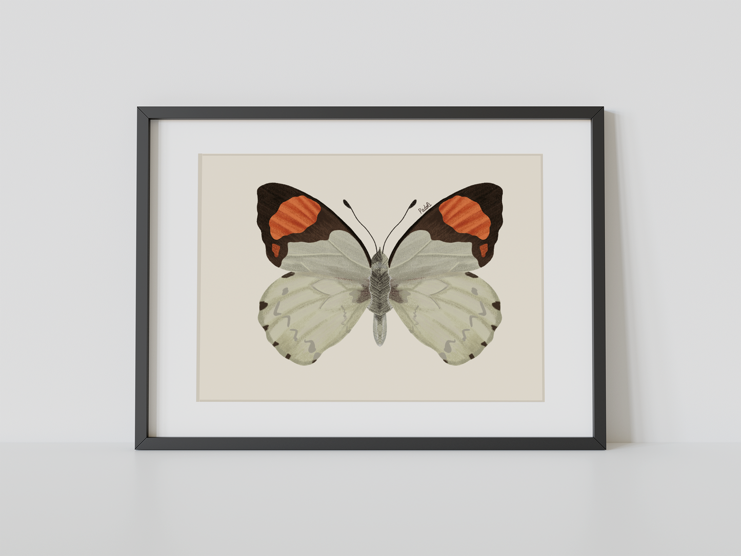 Print Mariposa Eroesa