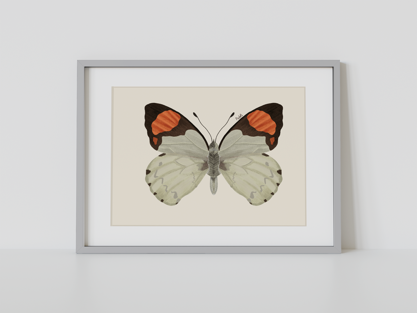 Print Mariposa Eroesa