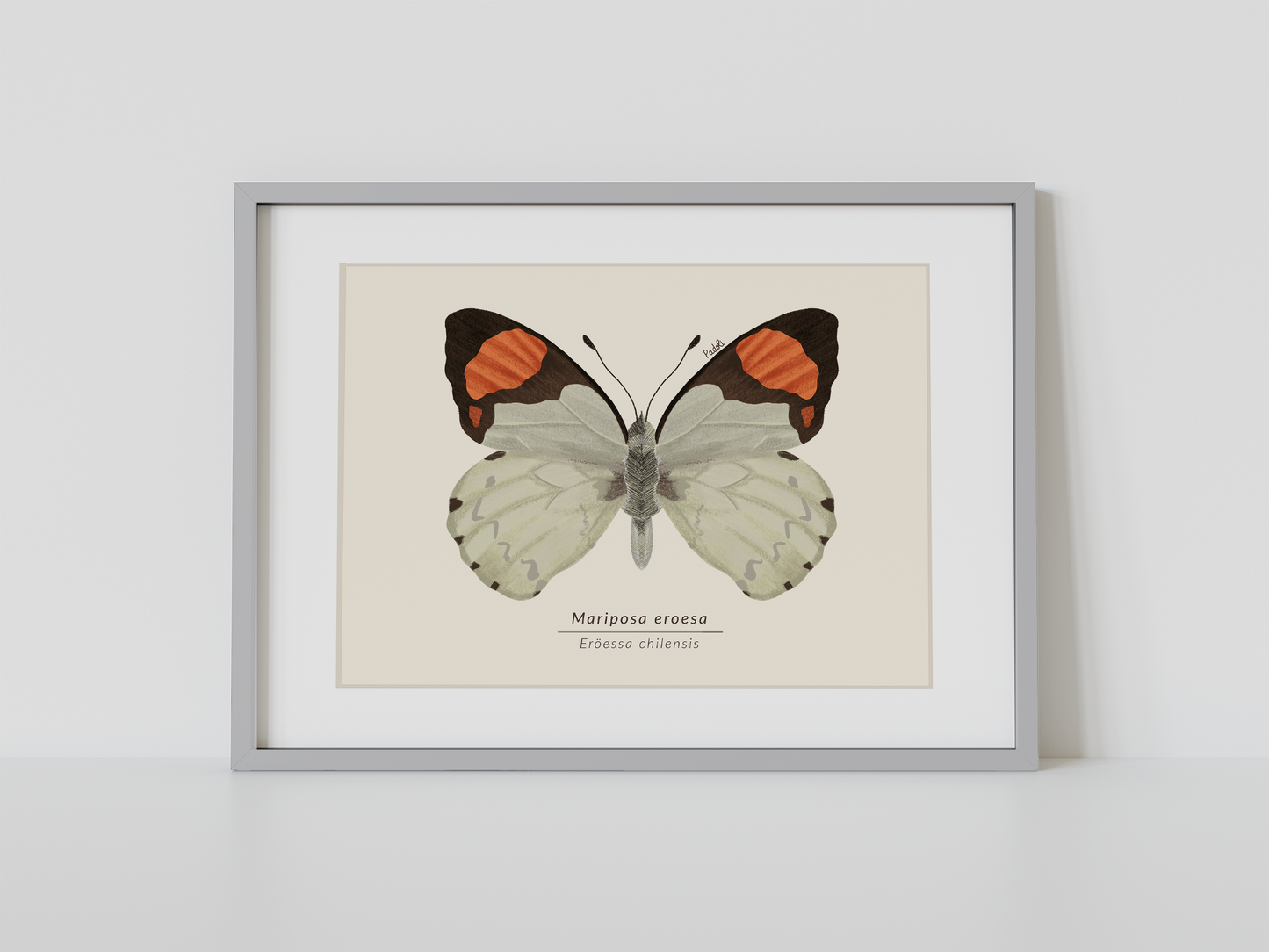 Print Mariposa Eroesa