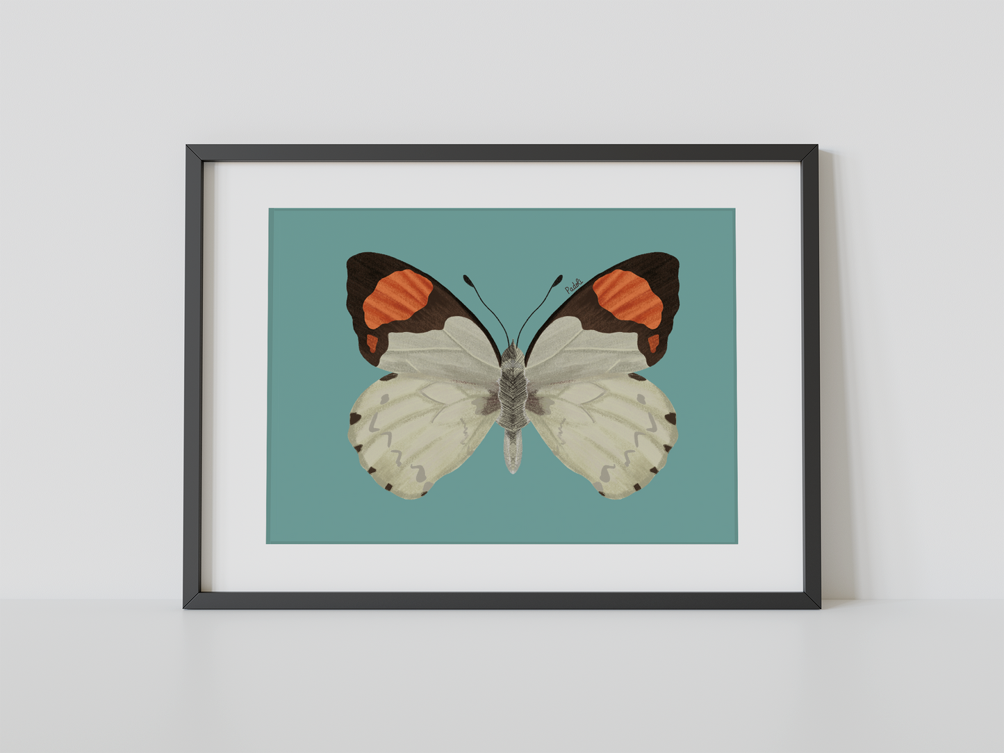Print Mariposa Eroesa