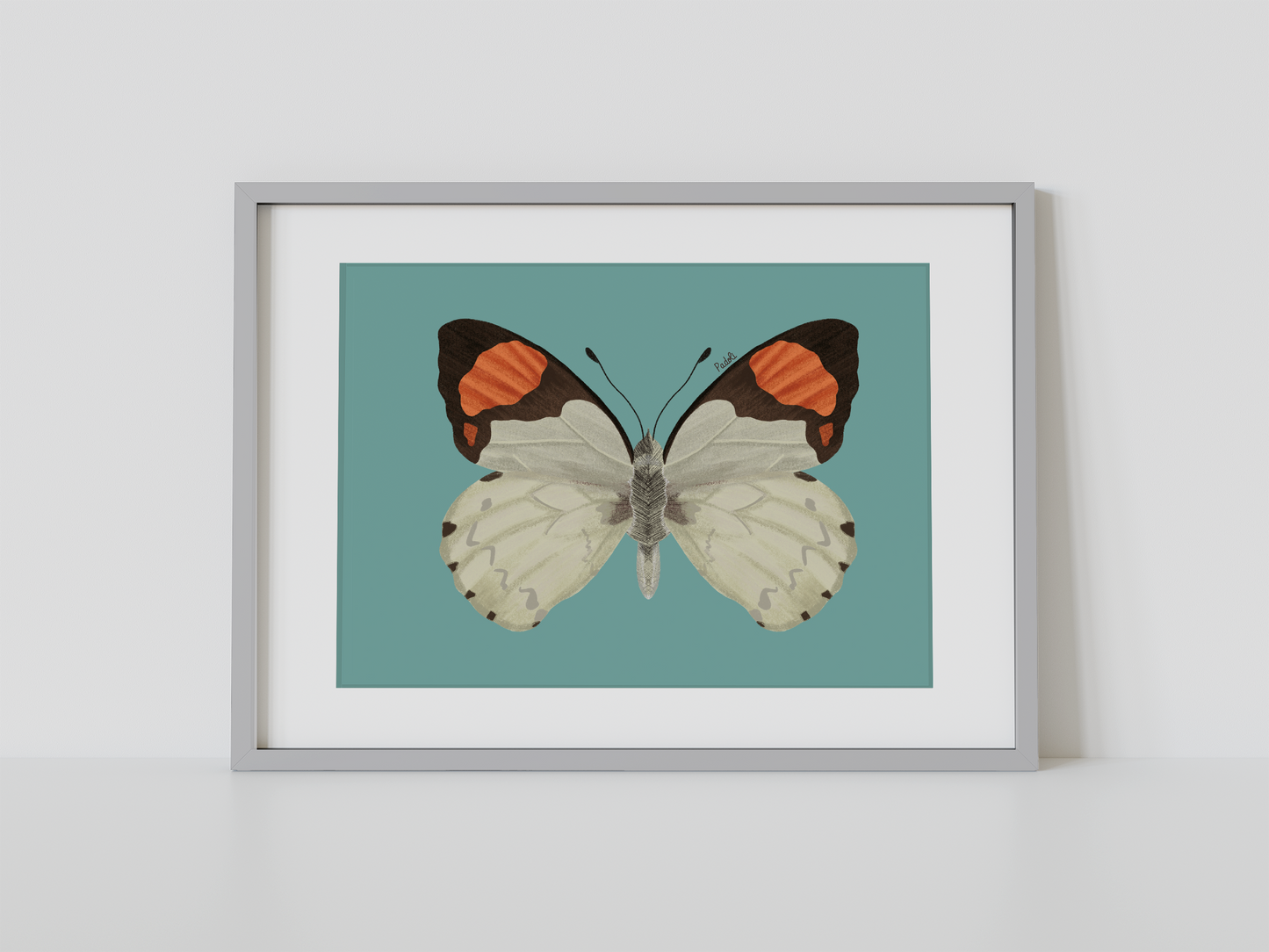 Print Mariposa Eroesa