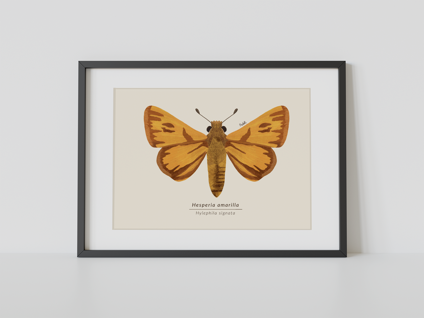 Print Mariposa Hesperia amarilla