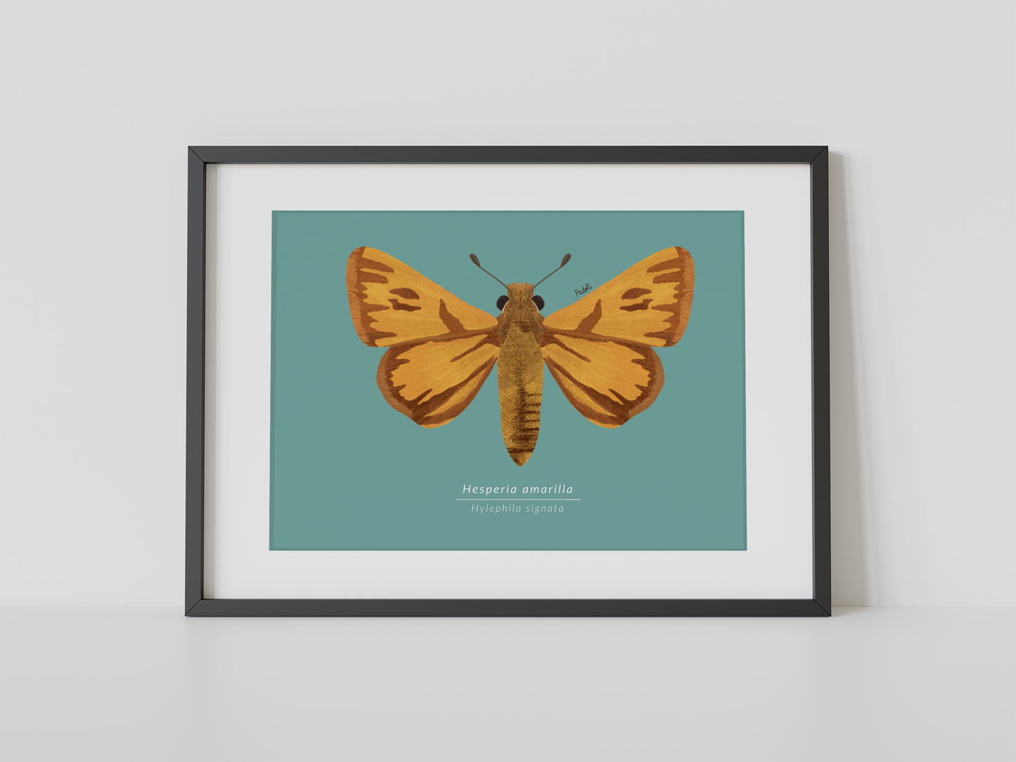 Print Mariposa Hesperia amarilla