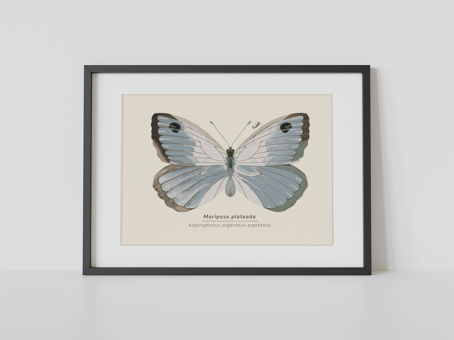 Print Mariposa Plateada