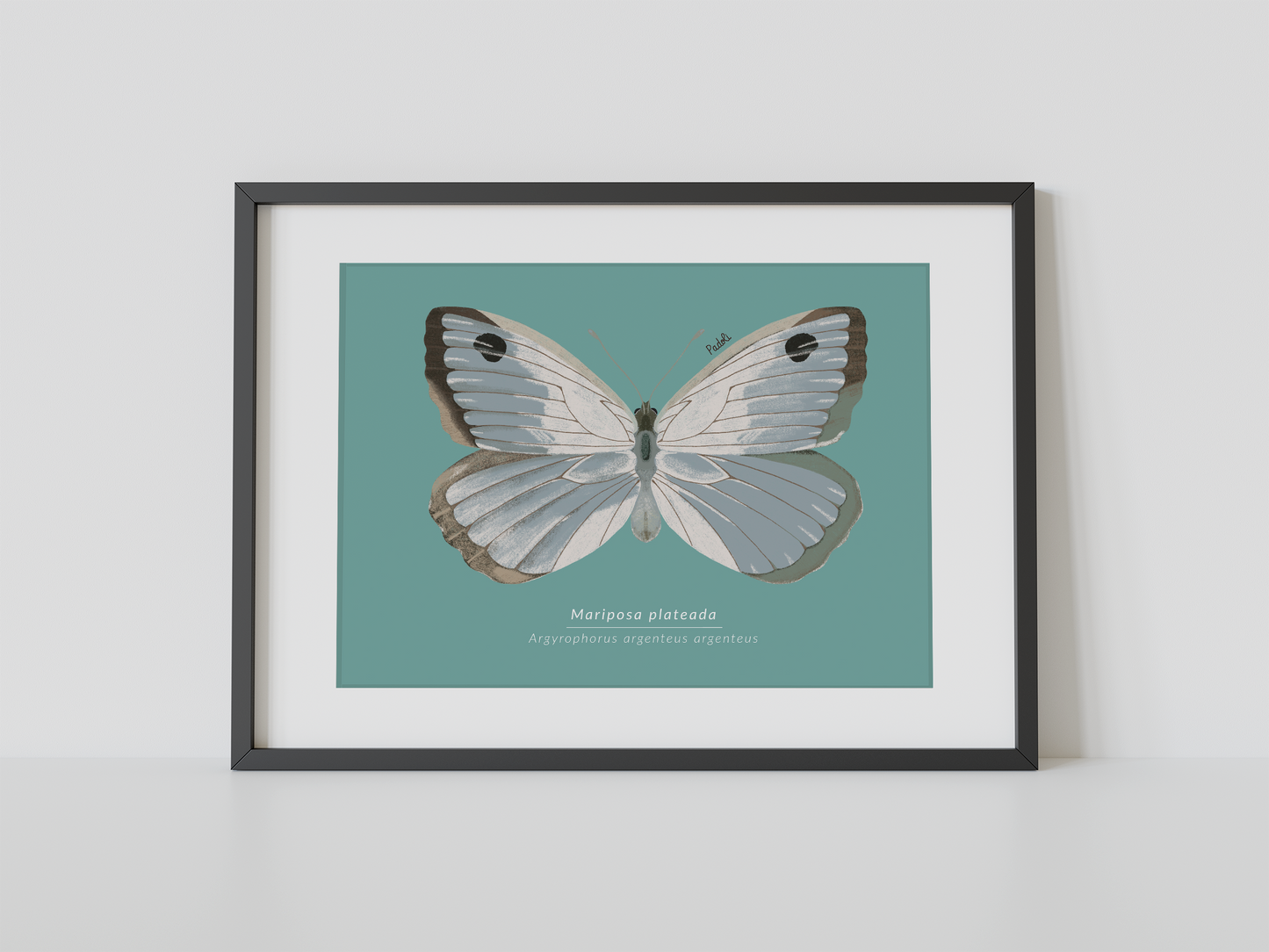 Print Mariposa Plateada