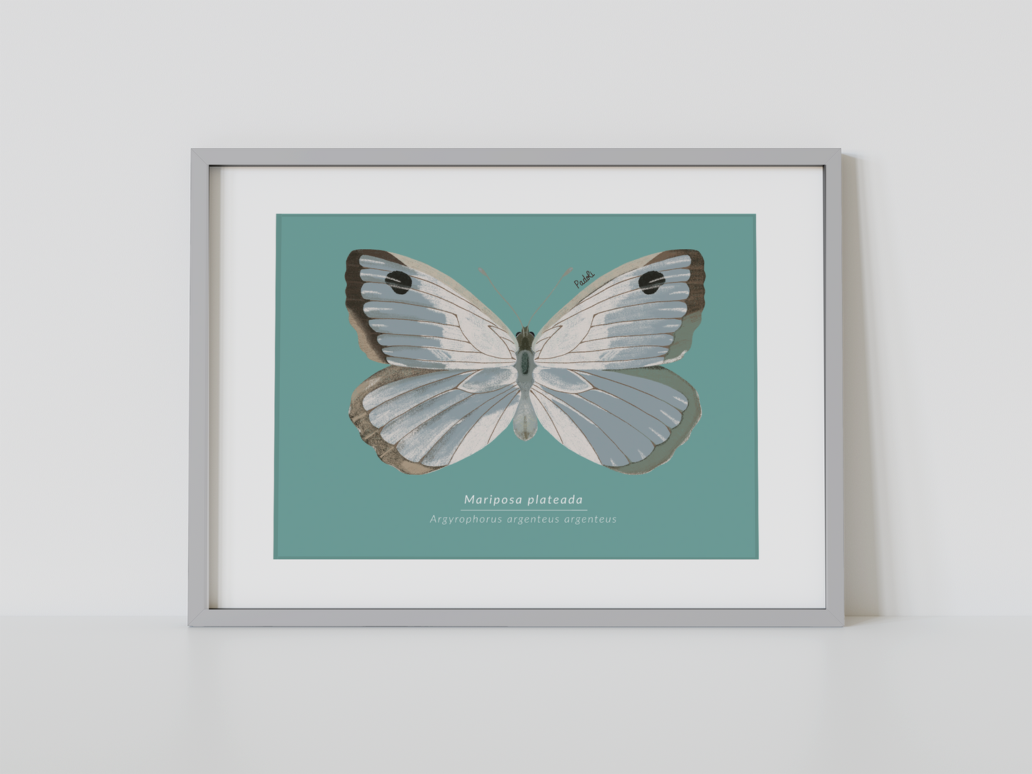 Print Mariposa Plateada