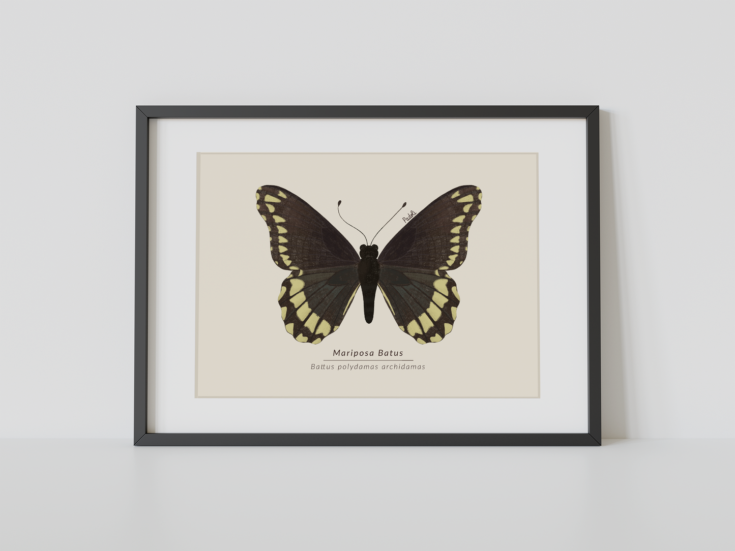 Print Mariposa Batus