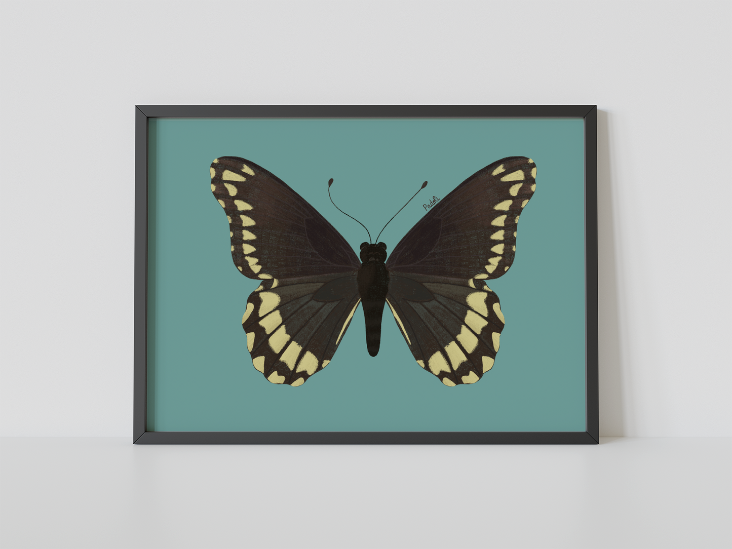 Print Mariposa Batus