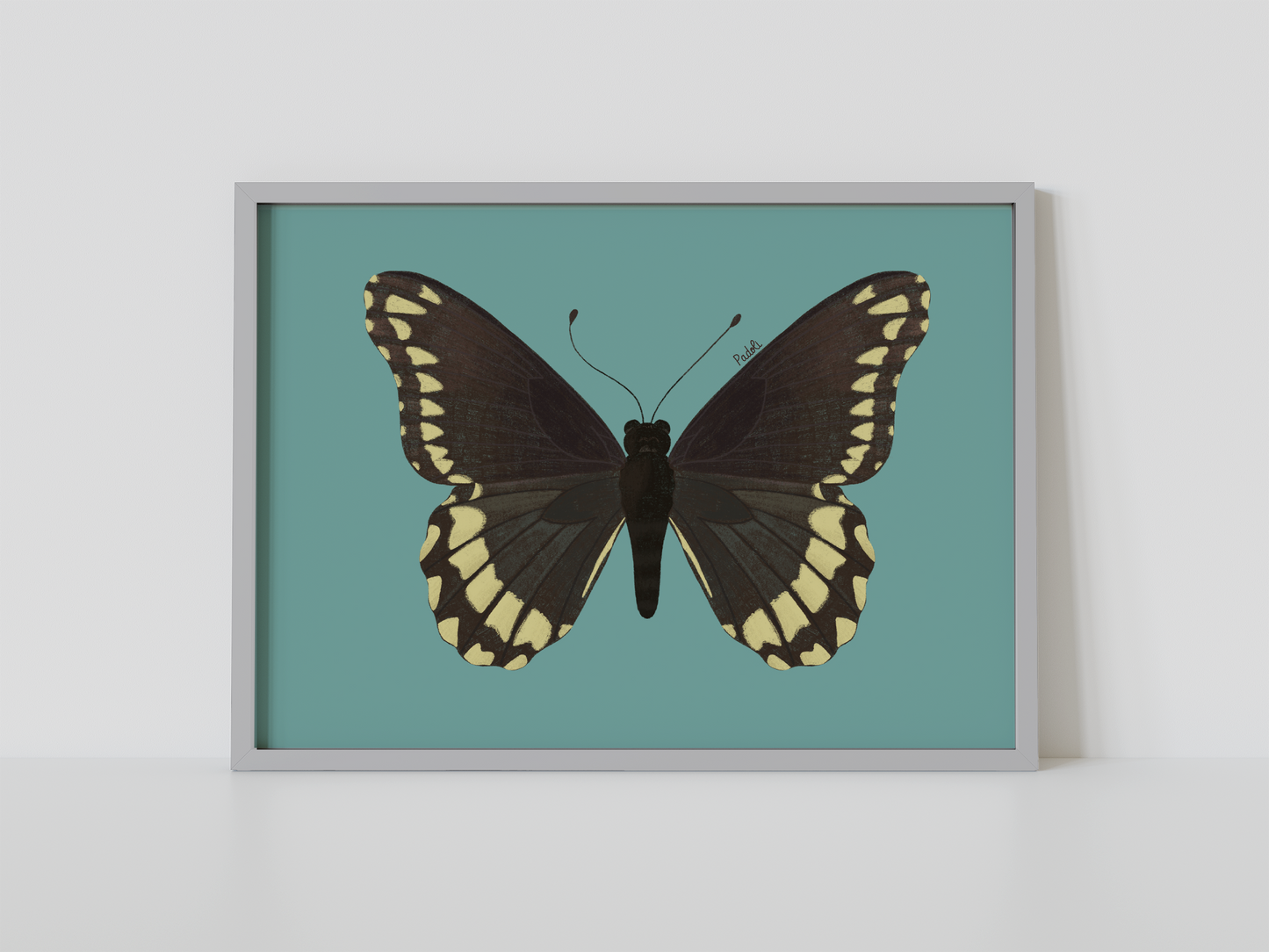 Print Mariposa Batus