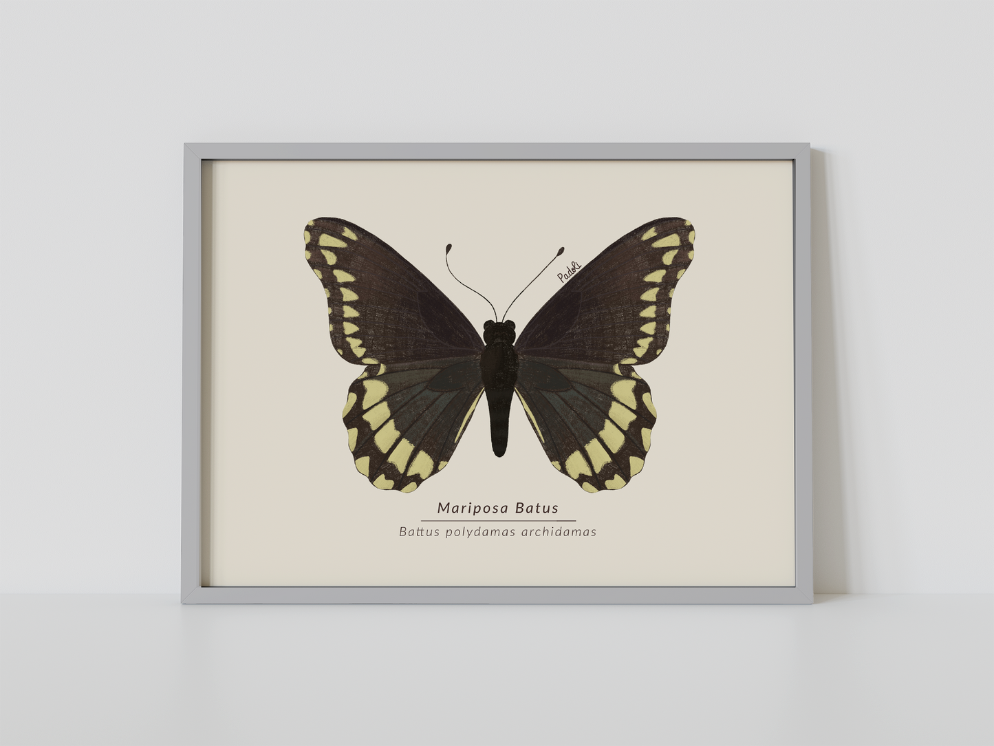 Print Mariposa Batus
