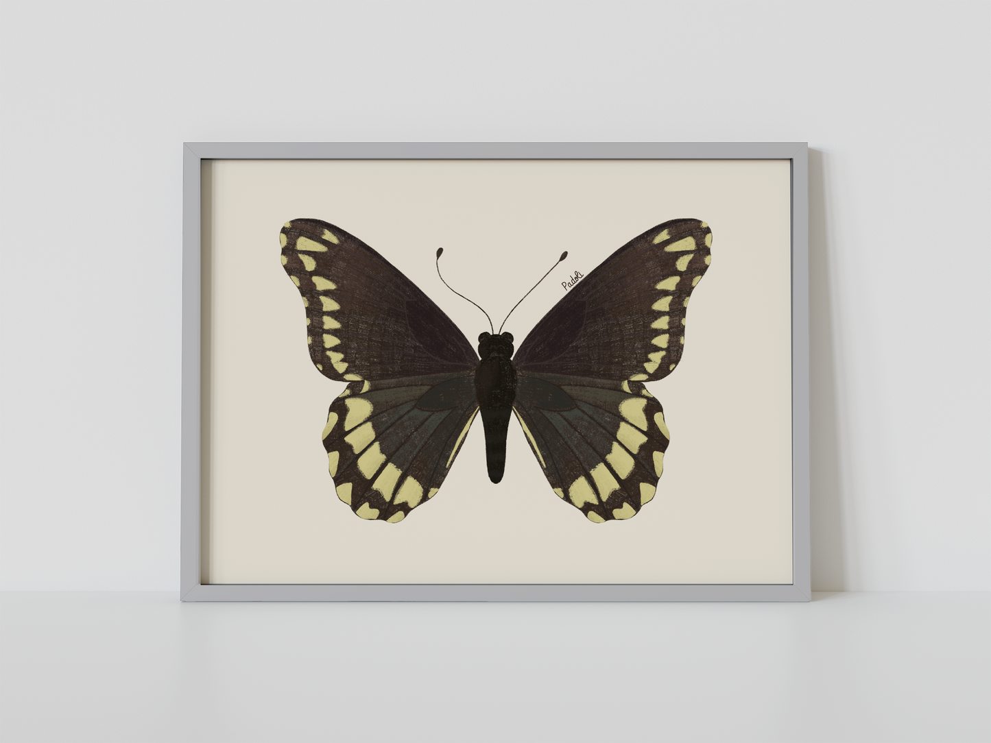 Print Mariposa Batus
