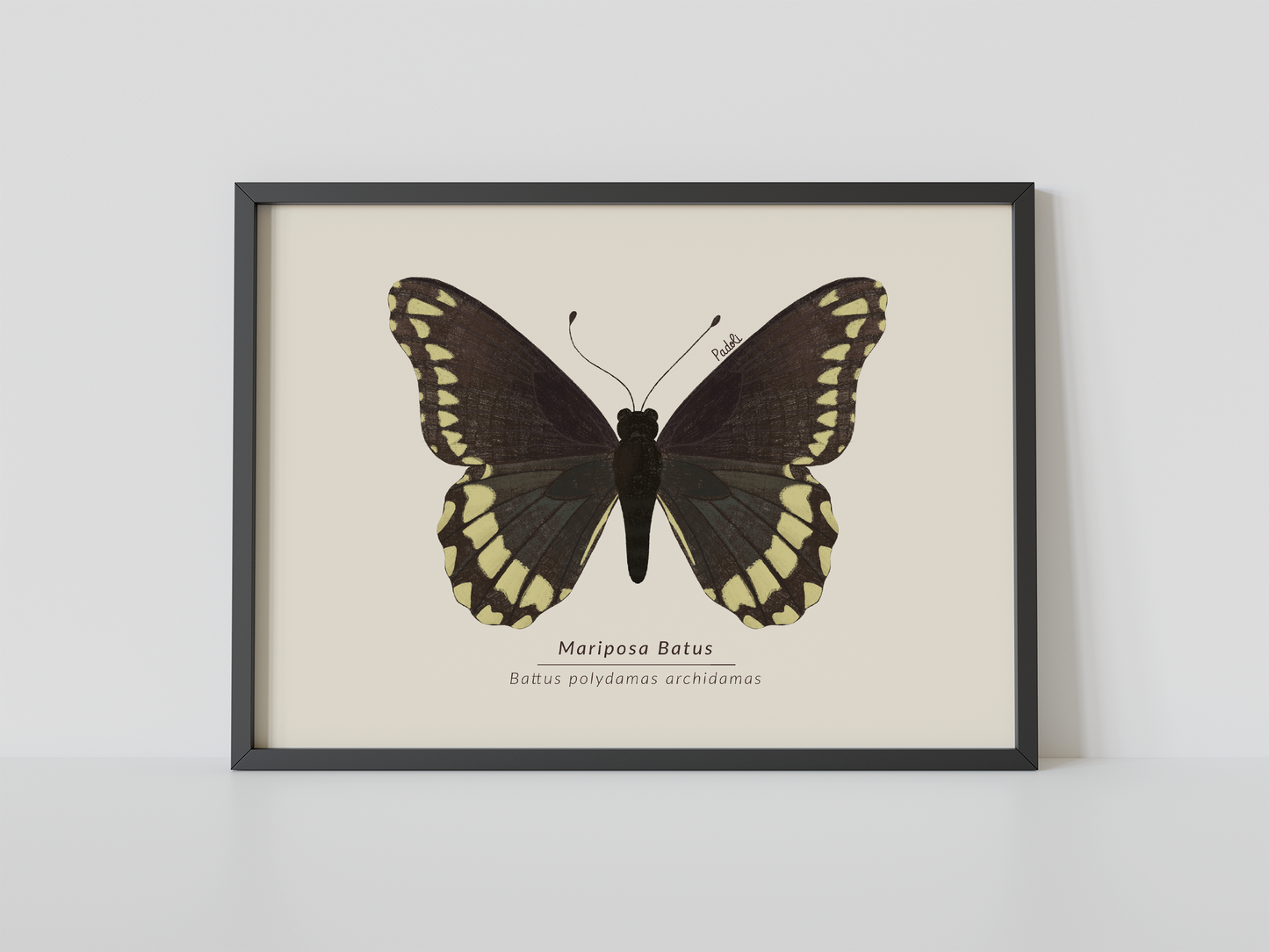 Print Mariposa Batus