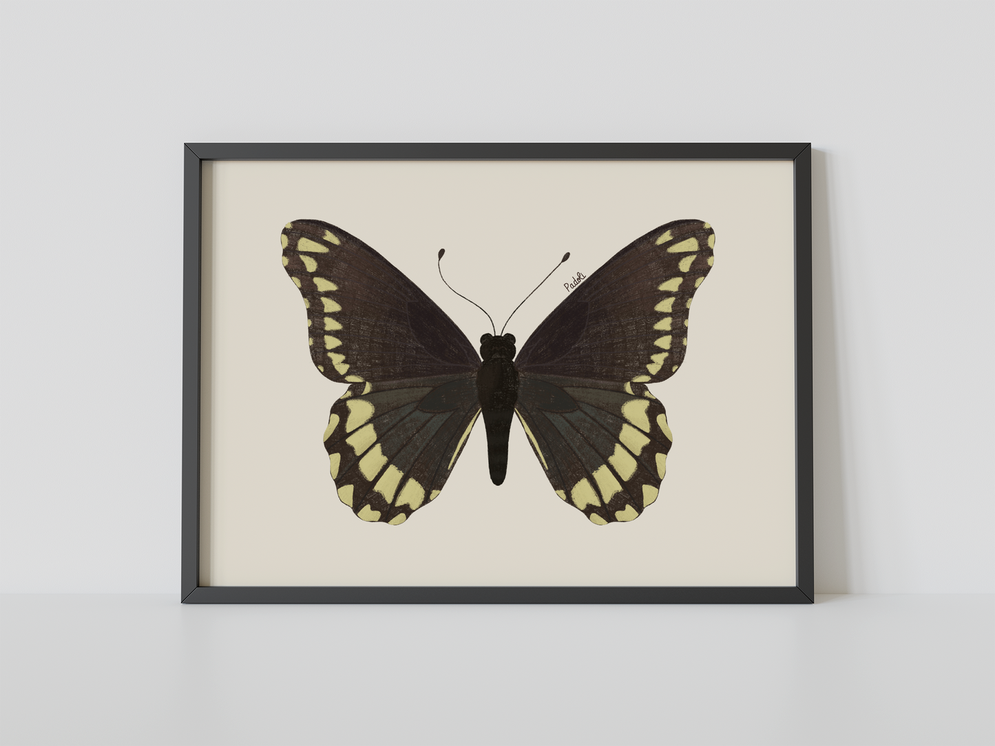 Print Mariposa Batus