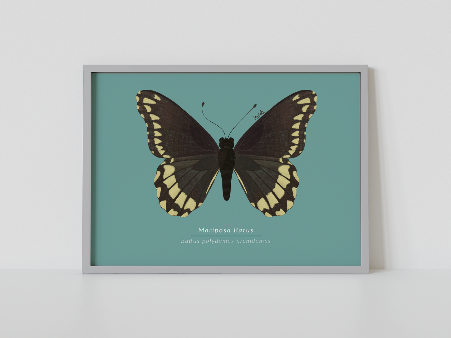 Print Mariposa Batus