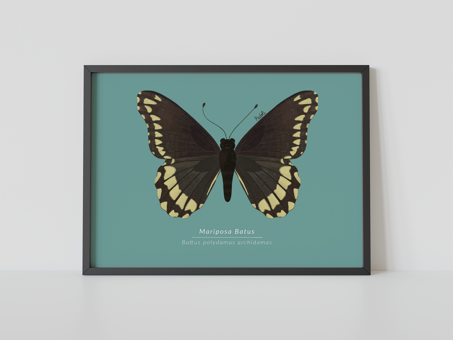 Print Mariposa Batus