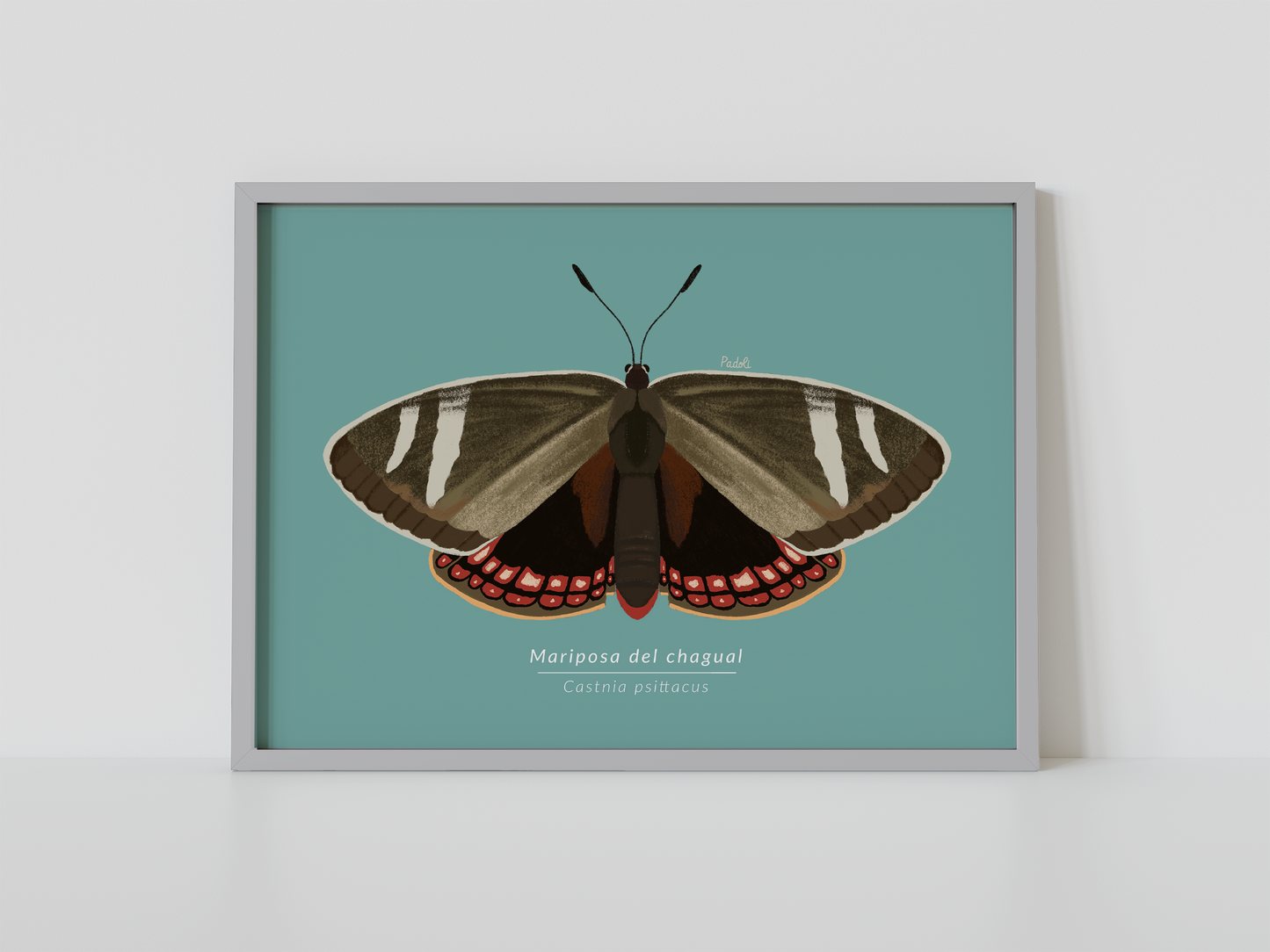 Print Mariposa del Chagual
