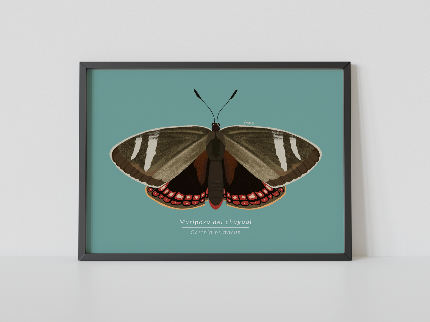 Print Mariposa del Chagual