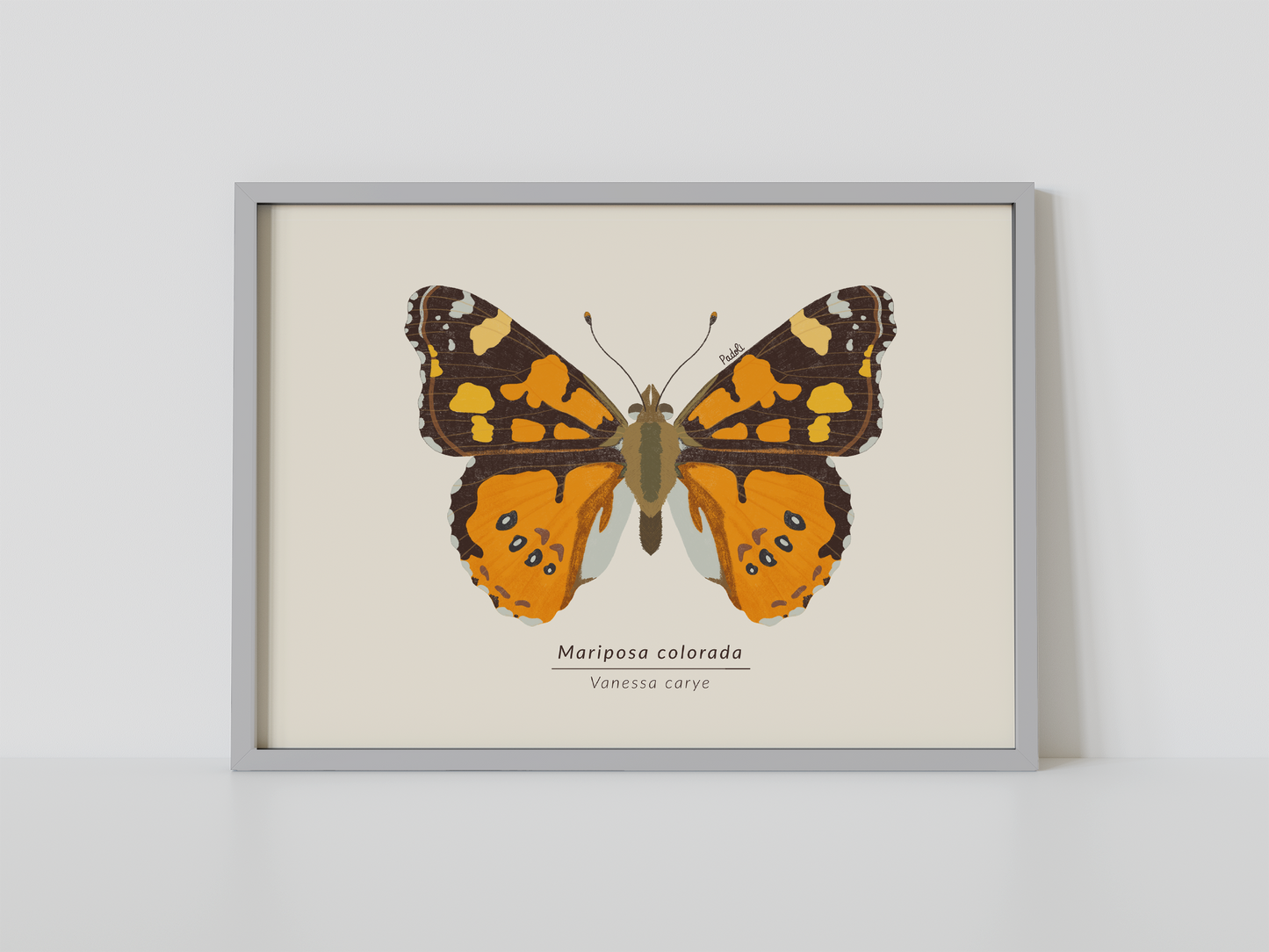Print Mariposa Colorida