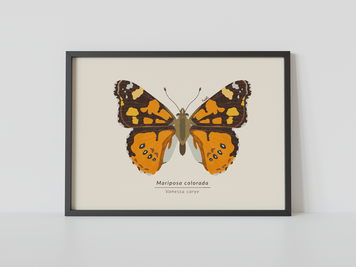 Print Mariposa Colorida