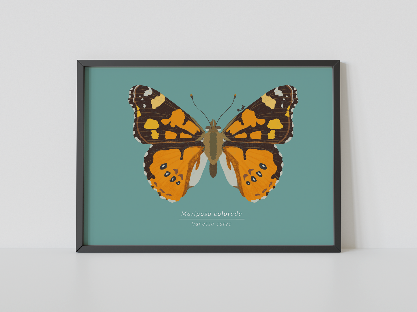 Print Mariposa Colorida