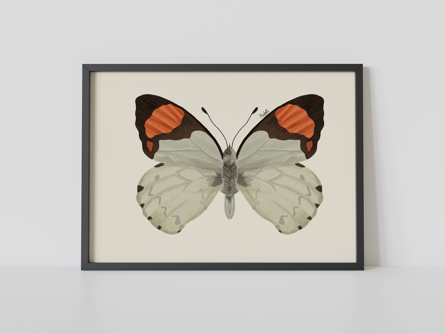 Print Mariposa Eroesa