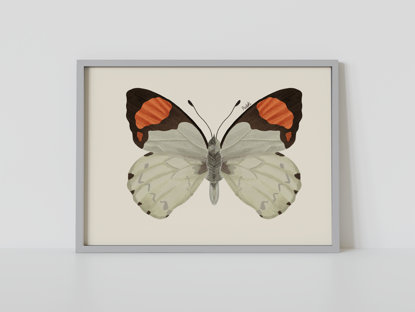 Print Mariposa Eroesa
