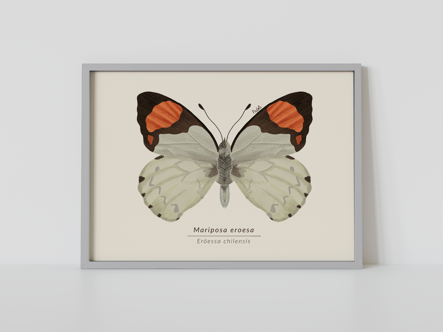 Print Mariposa Eroesa