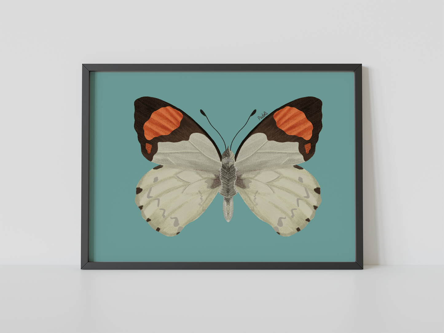 Print Mariposa Eroesa