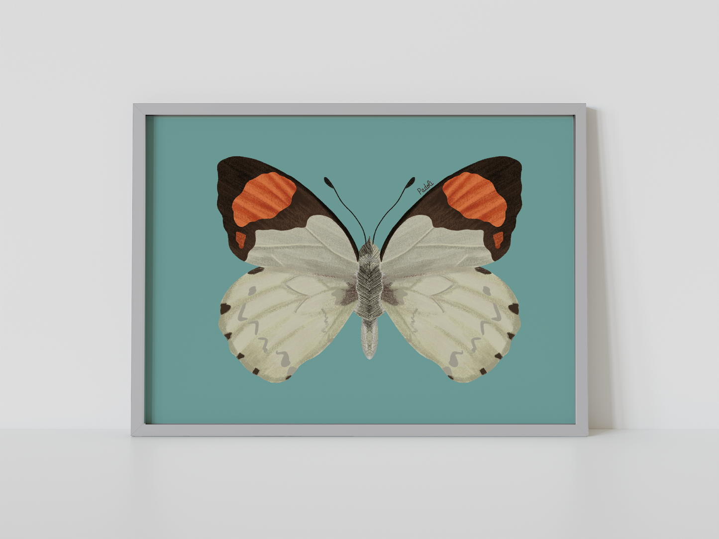 Print Mariposa Eroesa