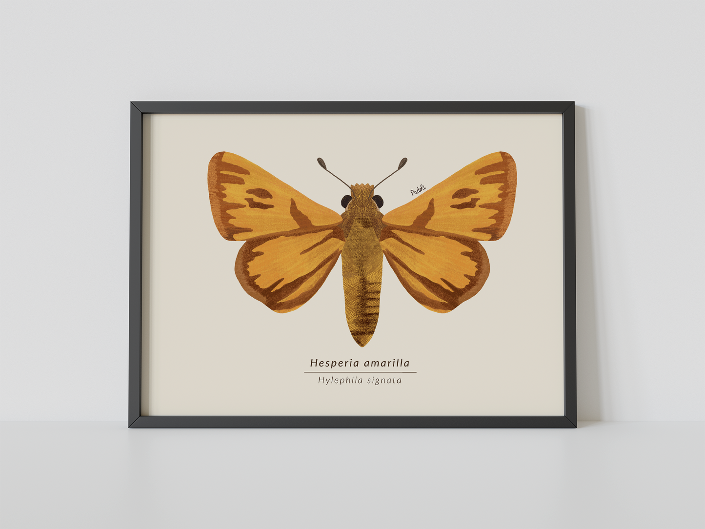 Print Mariposa Hesperia amarilla