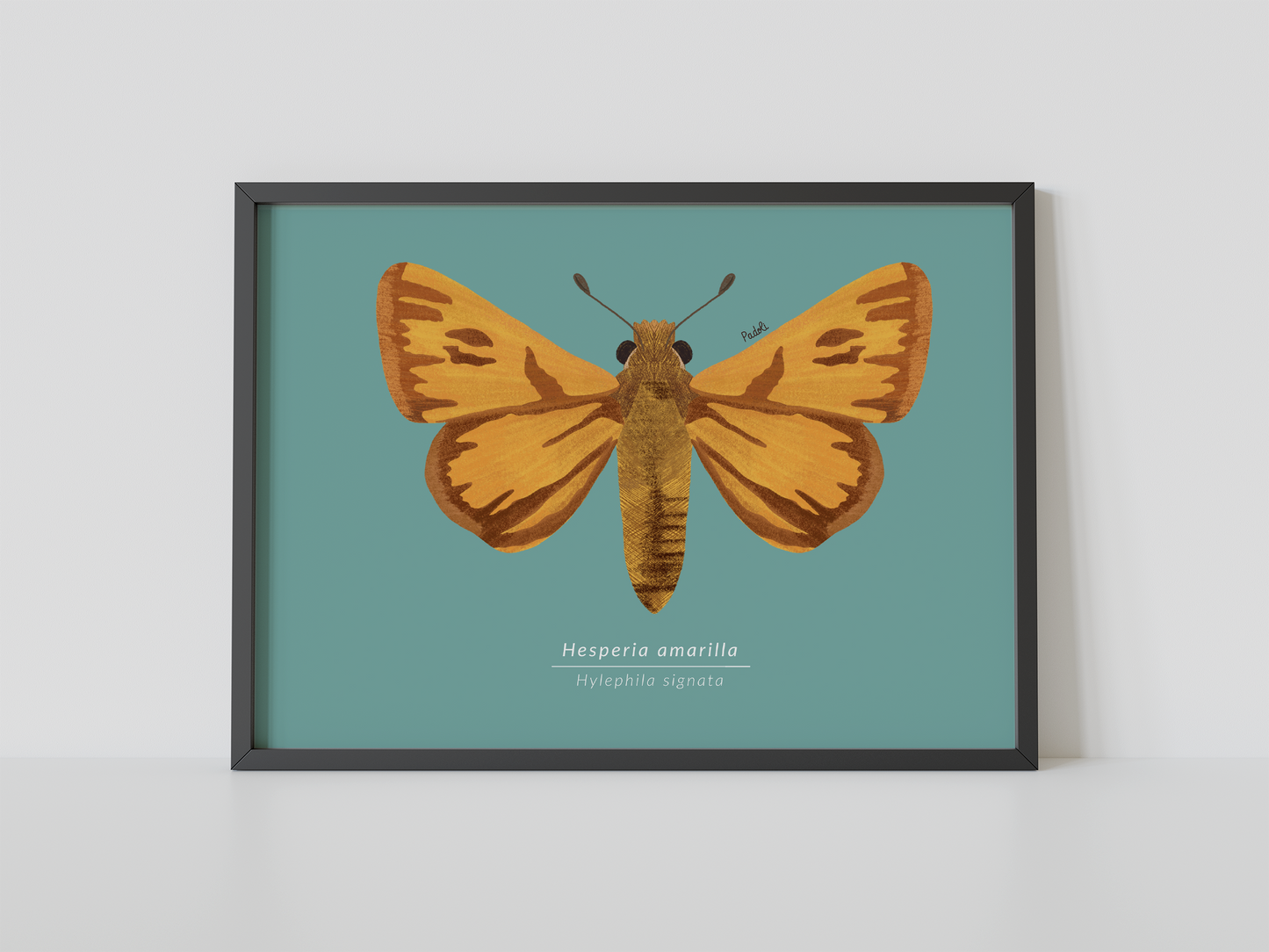 Print Mariposa Hesperia amarilla