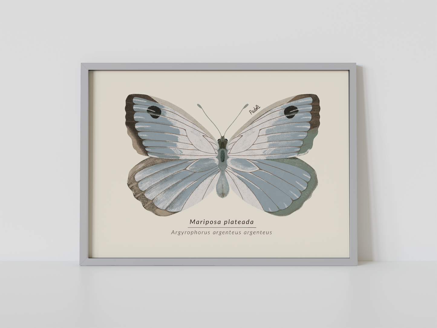 Print Mariposa Plateada