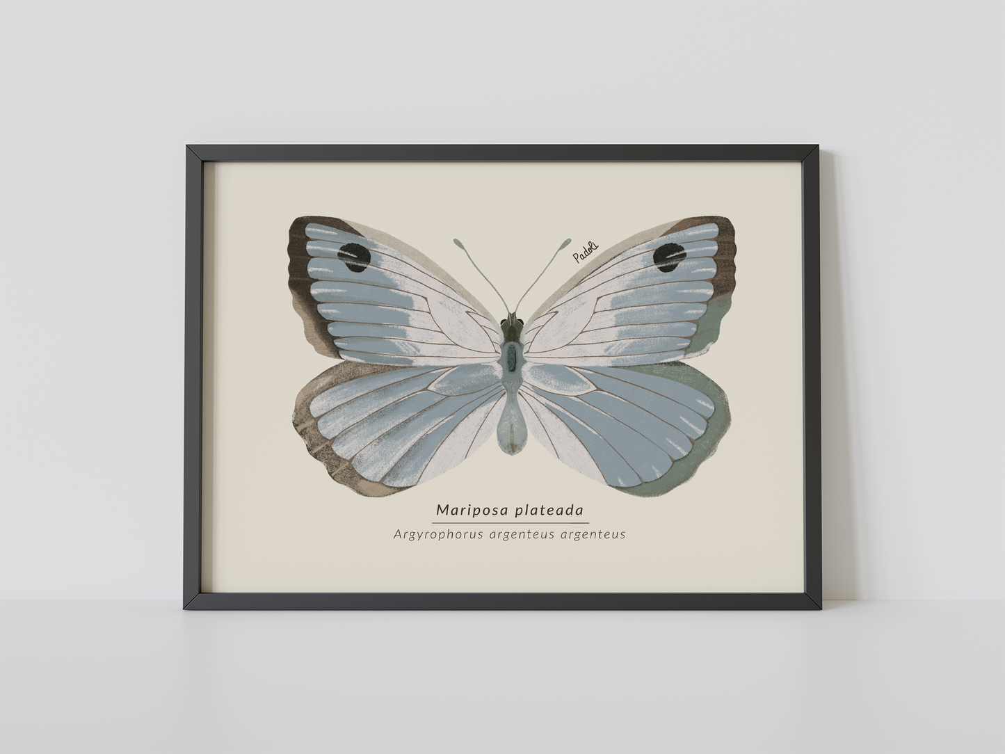 Print Mariposa Plateada