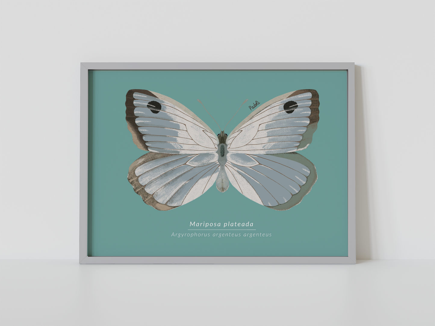 Print Mariposa Plateada