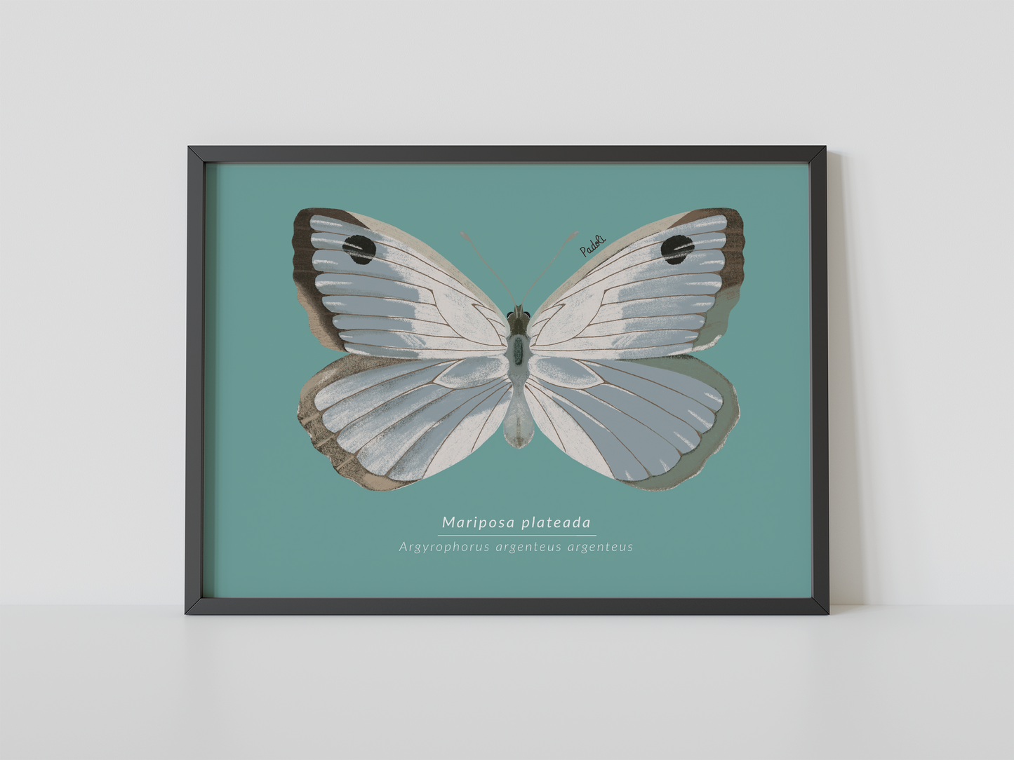 Print Mariposa Plateada