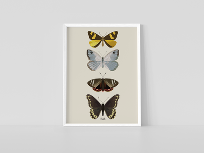 Print composición 4 mariposas II