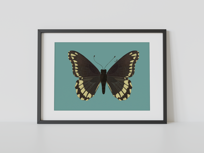 Print Mariposa Batus