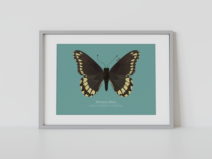 Print Mariposa Batus