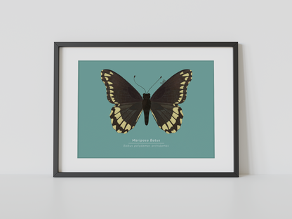 Print Mariposa Batus