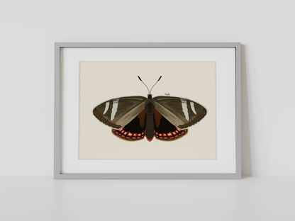 Print Mariposa del Chagual