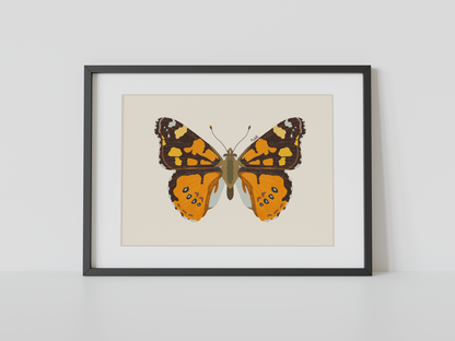 Print Mariposa Colorida